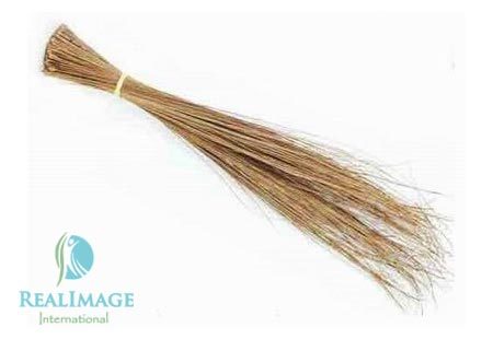 Broomstick